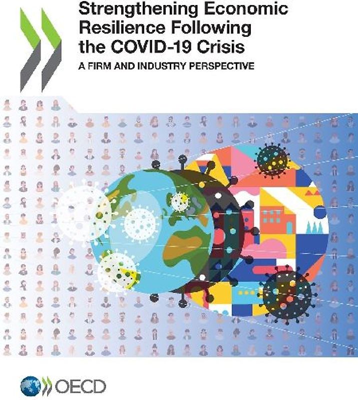 Strengthening Economic Resilience Following the COVID-19 Crisis