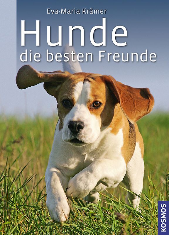 Hunde, die besten Freunde