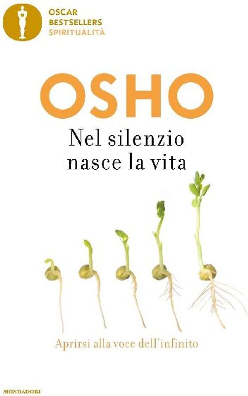 Nel silenzio nasce la vita. Aprirsi alla voce dell'infinito