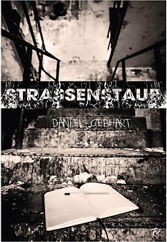 Strassenstaub: Biografie – Daniel Gebhart – Roman