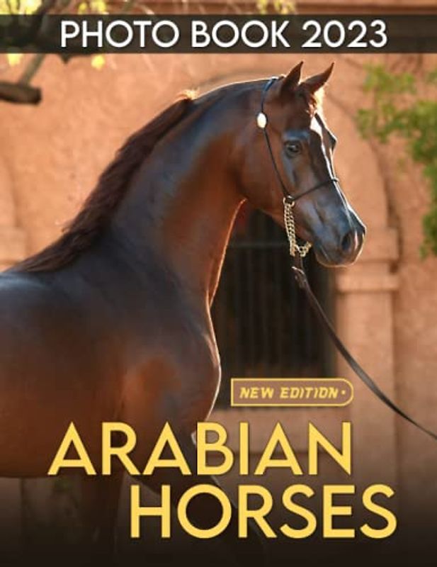 Arabian Horse Photobook: Photo Book Of Arabian Horse With 30+ Pictures, 2023 Photo Albums, Picture Book Birthday Christmas Gifts For Men Women Dad Mom