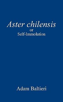 Aster chilensis