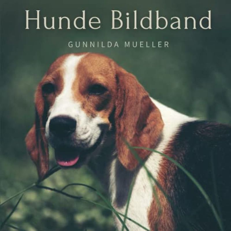 Hunde Bildband: Deutsche Hunderassen Bilderbuch für Senioren und Demenzkranke