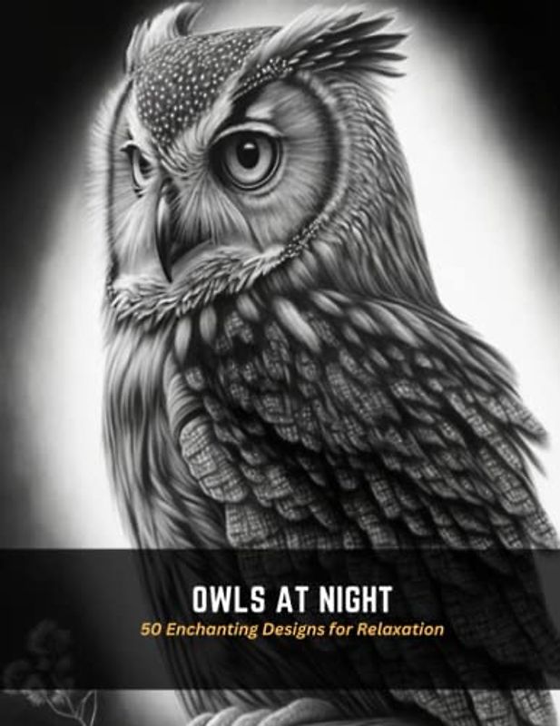 Owls at Night: 50 Enchanting Designs for Relaxation