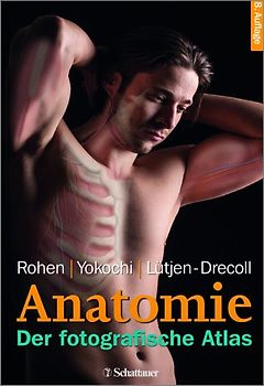 Anatomie des Menschen