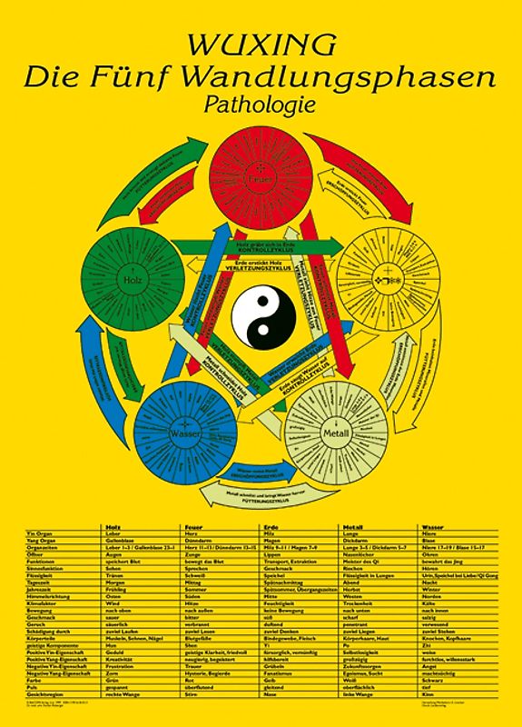 Die Fünf Wandlungsphasen: Pathologie. Lehrtafel in A4