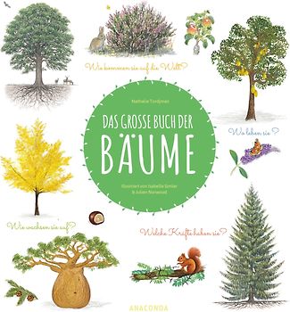 Das große Buch der Bäume