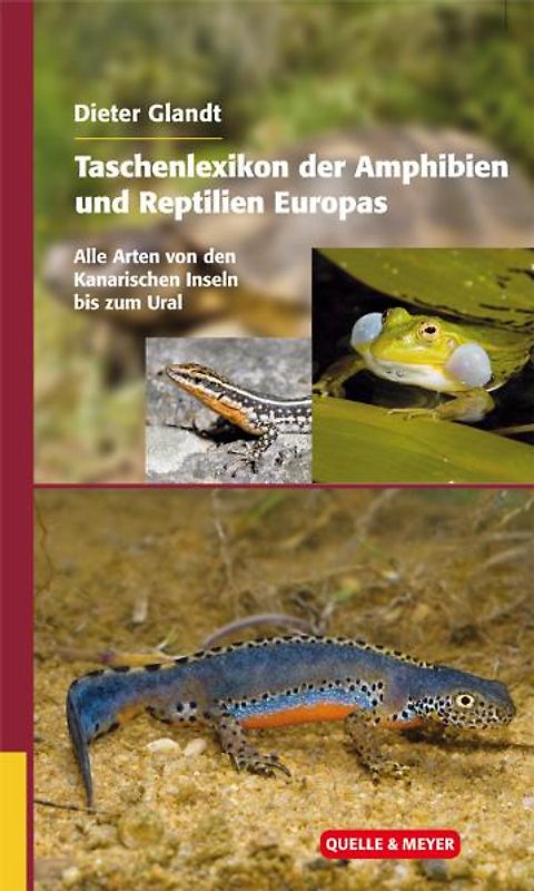 Taschenlexikon der Amphibien und Reptilien Europas