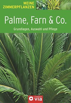 Palme, Farn & Co. - Grundlagen, Auswahl und Pflege