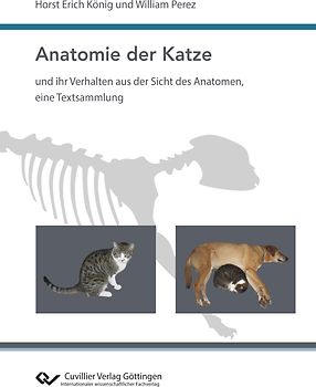 Anatomie der Katze und ihr Verhalten aus der Sicht des Anatomen, eine Textsammlung