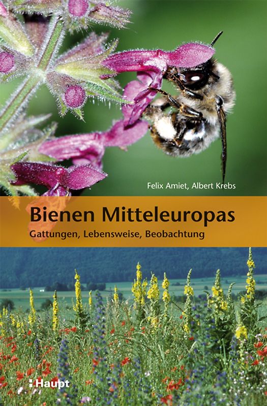 Bienen Mitteleuropas. Gattungen, Lebensweise, Beobachtung