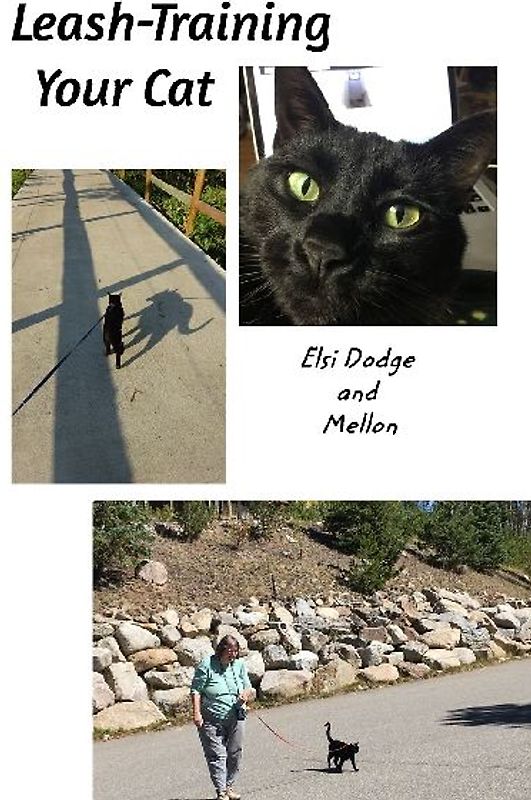 Leash Training Your Cat