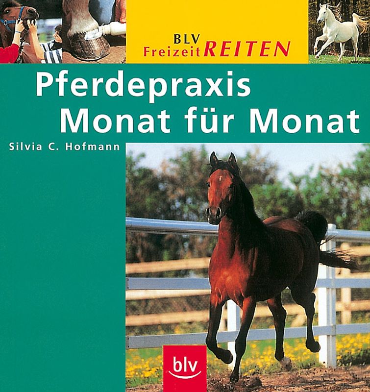 Pferdepraxis Monat für Monat