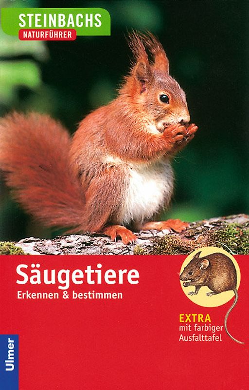 Säugetiere