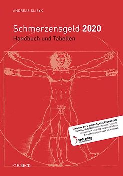 Schmerzensgeld 2020