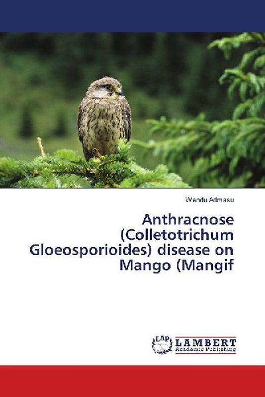 Anthracnose (Colletotrichum Gloeosporioides) disease on Mango (Mangif