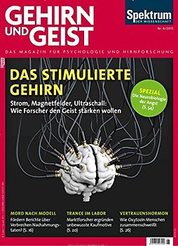 Gehirn & Geist