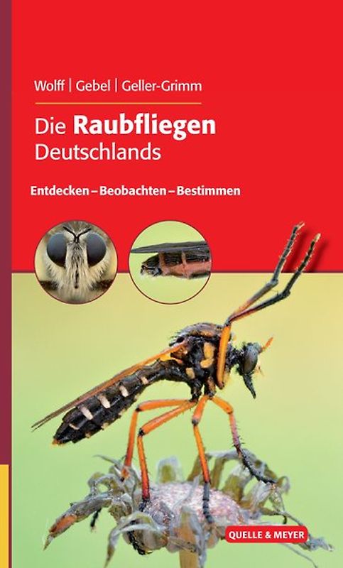 Die Raubfliegen Deutschlands