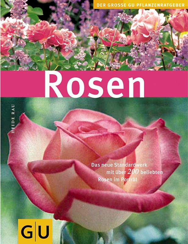 Rosen
