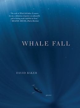 Whale Fall