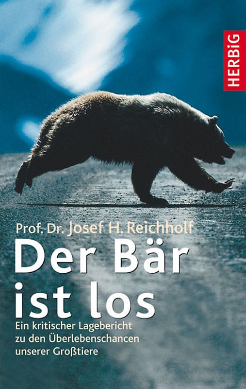 Der Bär ist los