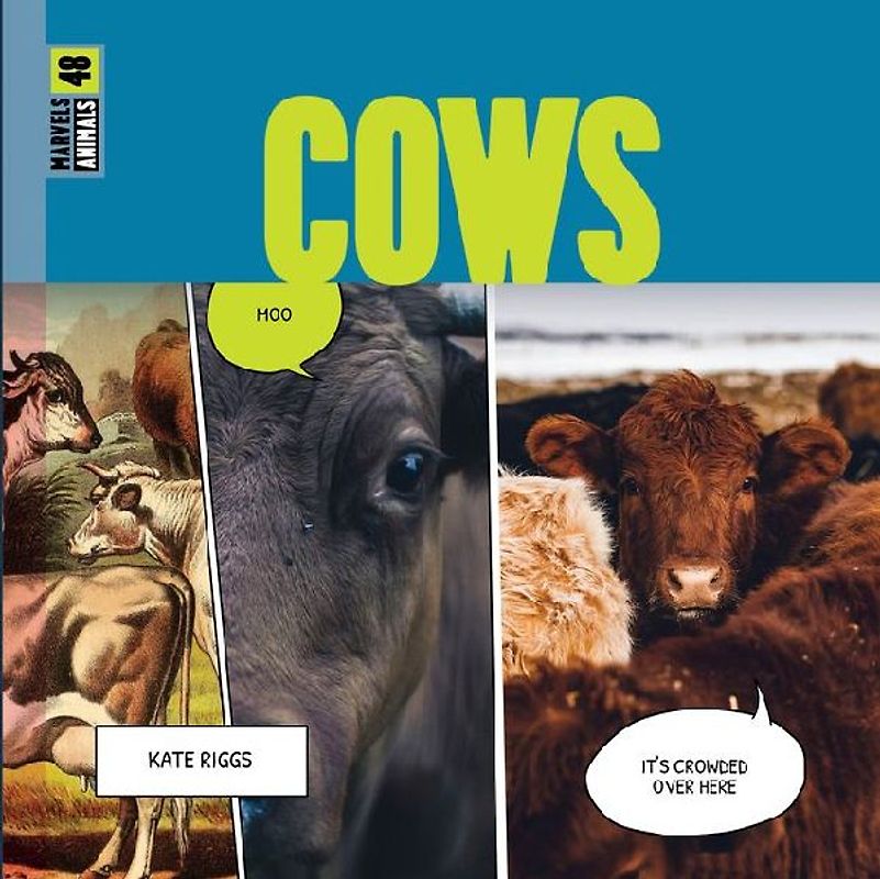 Cows