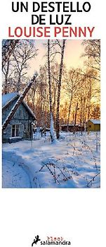 Un Destello de Luz / How the Light Gets in