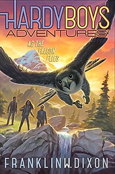 As the Falcon Flies (Volume 24) (Hardy Boys Adventures)