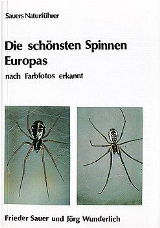 Die schönsten Spinnen Europas - nach Farbfotos erkannt