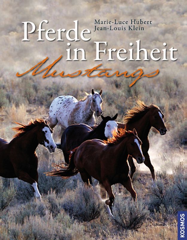 Pferde in Freiheit - Mustangs