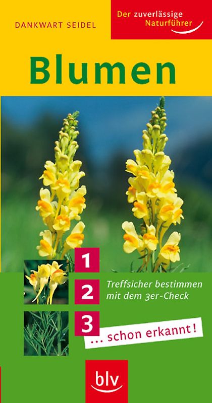 Blumen. Treffsicher bestimmen mit dem 3er-Check 1... 2... 3... ...schon erkannt!