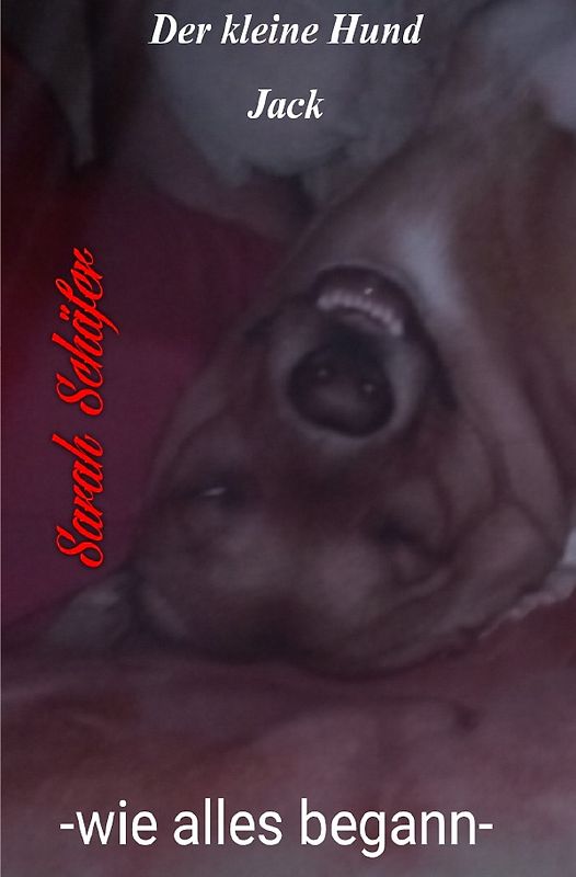 Jack / der kleine Hund Jack