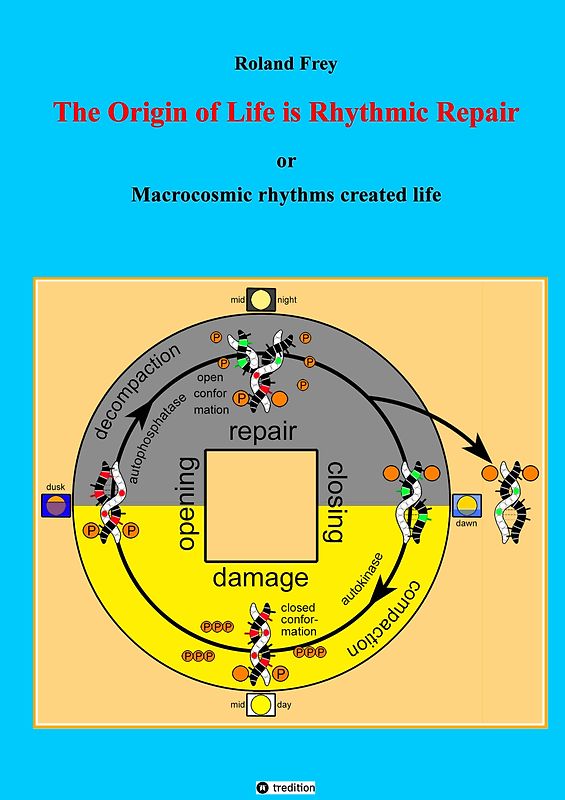 The origin of life is rhythmic repair or Macrocosmic rhythms created life