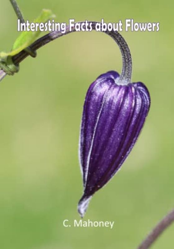 Interesting Facts about Flowers