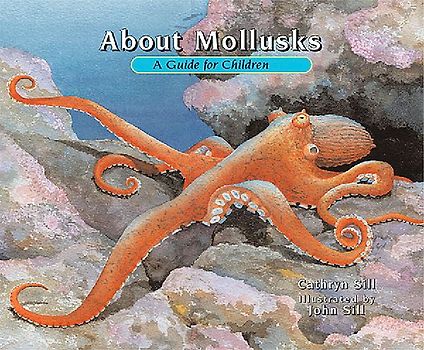 About Mollusks