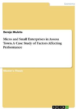 Micro and Small Enterprises in Assosa Town. A Case Study of Factors Affecting Performance
