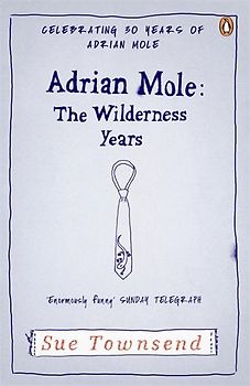 Adrian Mole: The Wilderness Years (Adrian Mole 4) - Sue Townsend