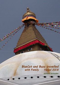 Buzz travelled / BlueCat and Buzz travelled