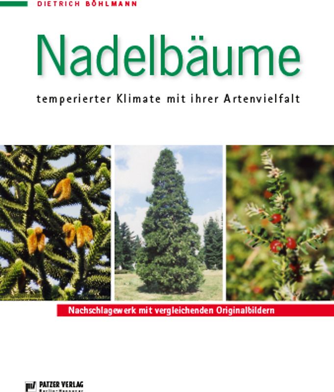 Nadelbäume