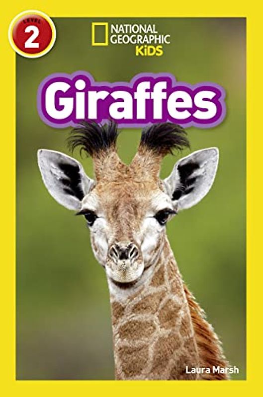 Giraffes