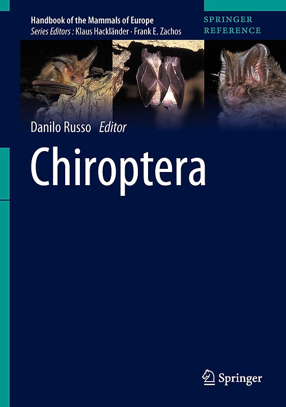Chiroptera