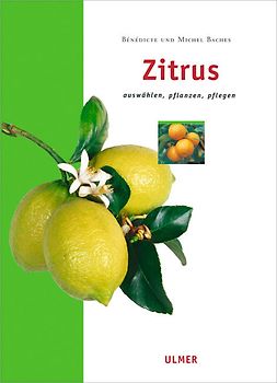 Zitrus