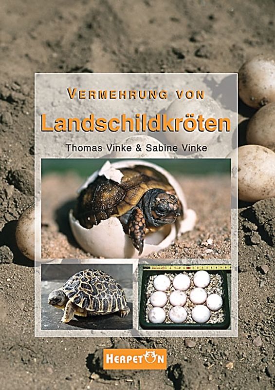 Vermehrung von Landschildkröten