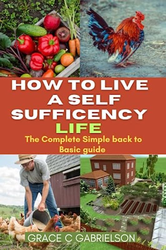 How to Live a Self-Sufficiency Life: The Complete Simple back to Basic guide to self - reliance