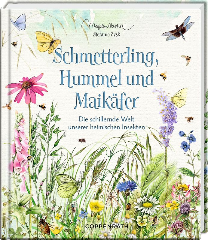 Schmetterling, Hummel und Maikäfer