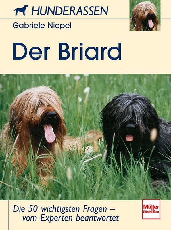 Der Briard