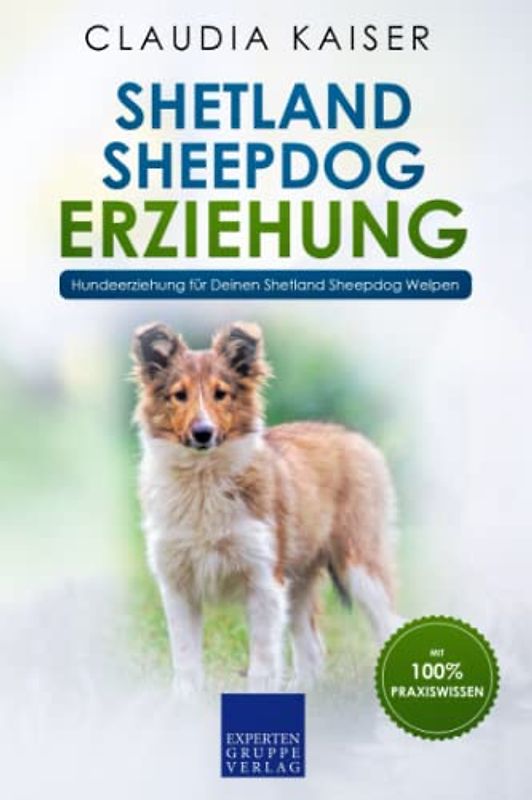 Shetland Sheepdog Erziehung: Hundeerziehung für Deinen Shetland Sheepdog Welpen