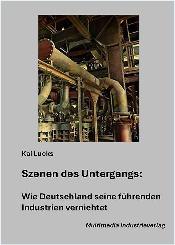 Der GAU: wie Deutschland seine führenden Industrien vernichtet - ein Insiderbericht