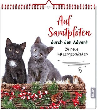Auf Samtpfoten durch den Advent