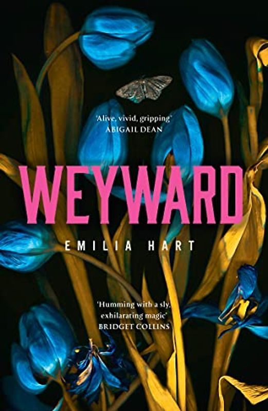 Weyward: Discover the unique, original and unforgettable fiction debut novel of 2023 – a BBC 2 Between the Covers Book Club Pick and #2 Times Bestseller